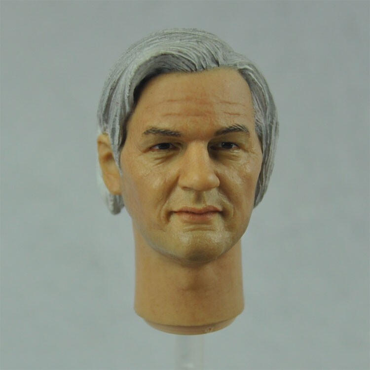 Special Price Headplay 1 6 star head sculpted Julian Assange hacker Robin Howikileaks