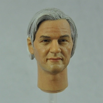 Special Price Headplay 1 6 star head sculpted Julian Assange hacker Robin Howikileaks
