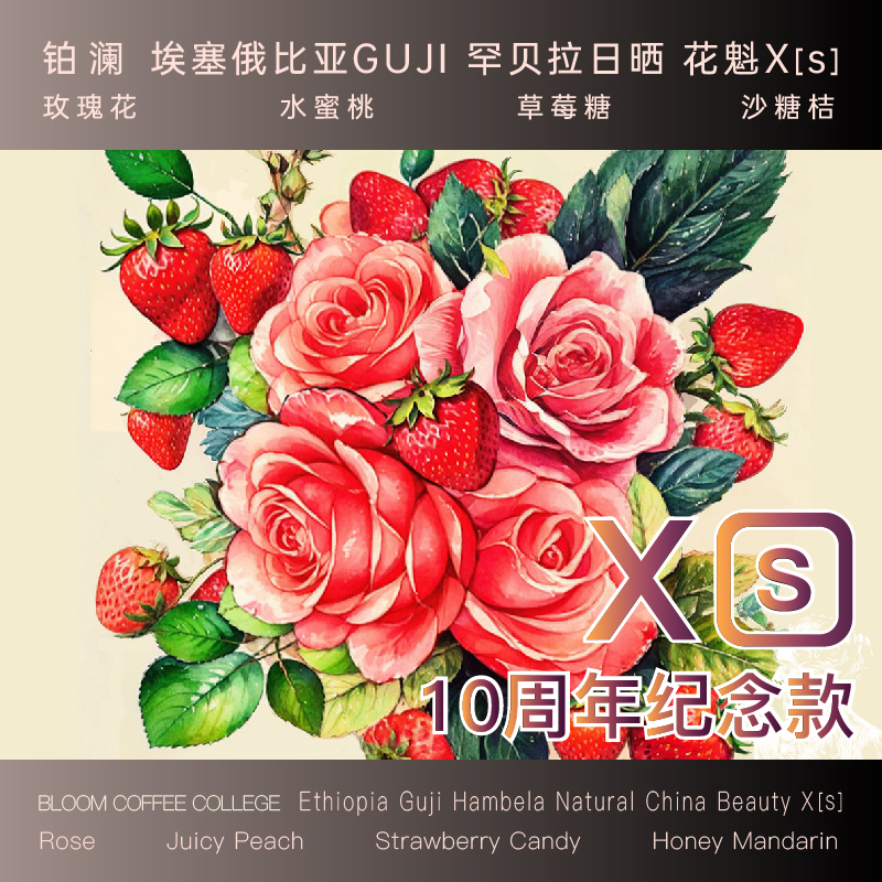 Platinum 2025 New Crop Season Hanbeila Flower Queen XS Hand-Brewed Coffee Beans Ethiopian Sun-Dried Freshly Roasted Ground Coffee Platinum 2025 New Crop Season Hanbeila Flower Queen XS Hand-Brewed Coffee Beans Ethiopian Sun-Dried Freshly Roasted Ground Coffee