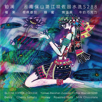 Bolan Yunnan Baoshan Zuoyuan coffee beans S288 washed new season boutique hand-washed fresh baked can be ground on behalf of