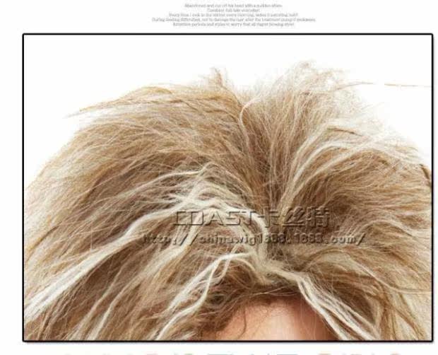 Perruque cheveux courts - Ref 2612733 Image 81