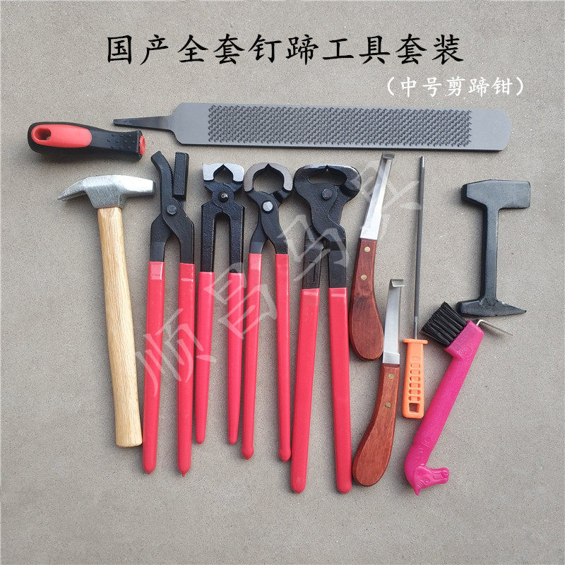 Repair horseshoe nail palm tool set Horseshoe pliers nail pliers hoof file hoof knife Professional hoof repair stable equestrian