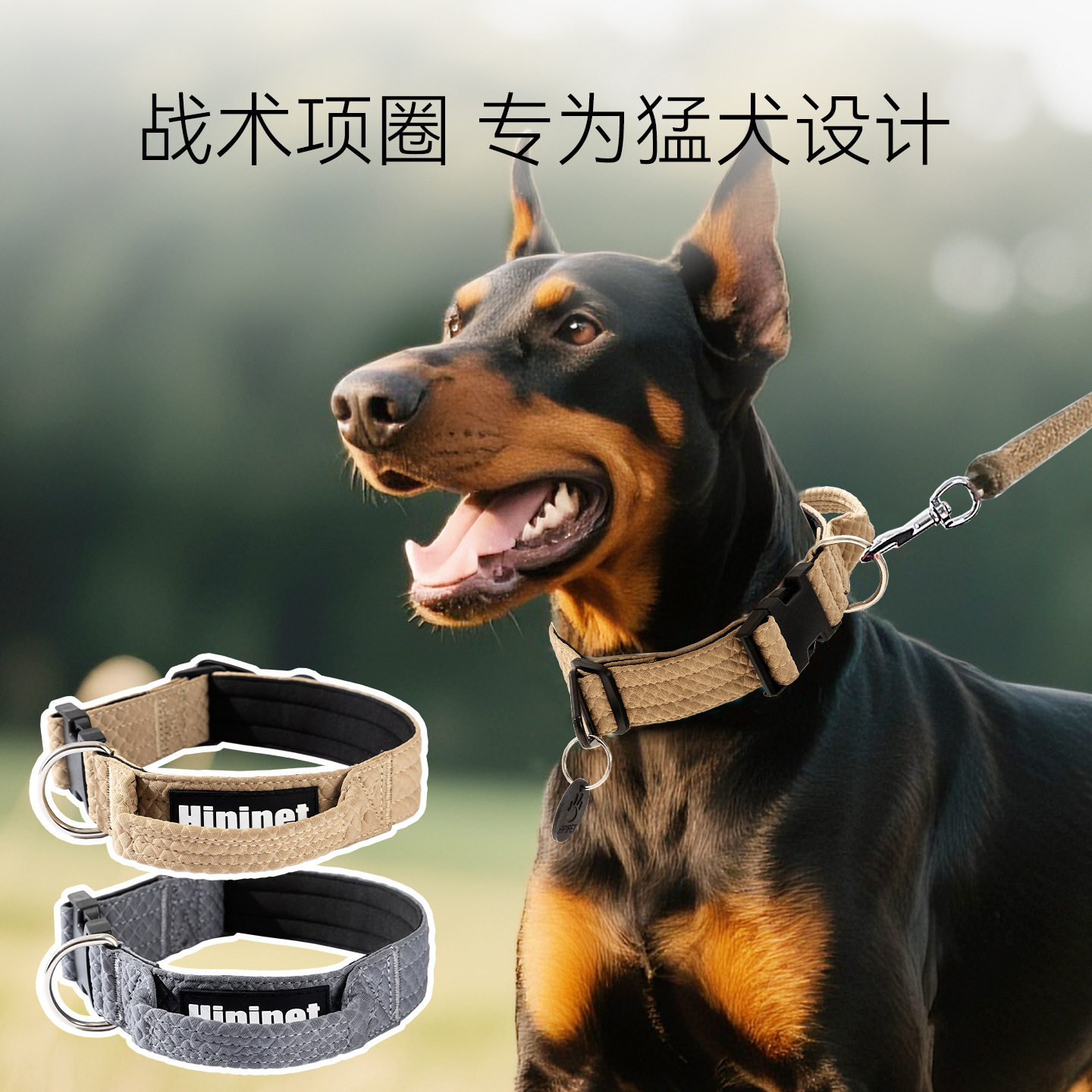 宠物项圈中大型犬金毛边牧外出可牵引护颈脖圈狗圈金毛大型犬用品