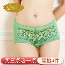 Dai Zhidi counter adjustment of the waist boxer female sense lace hip pro-skin underwear L903503