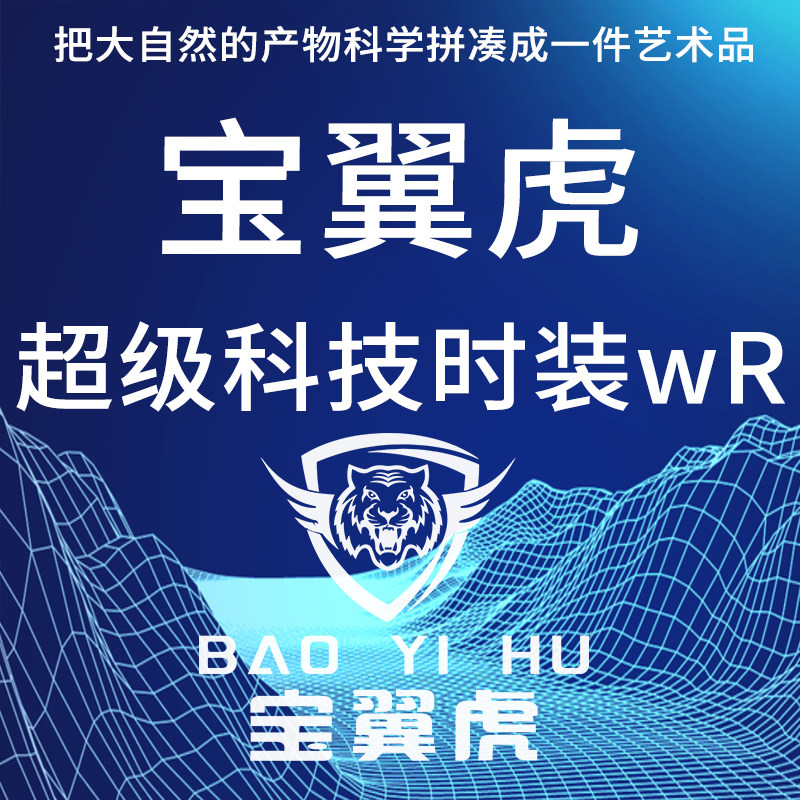 宝翼虎超级科技时装WR