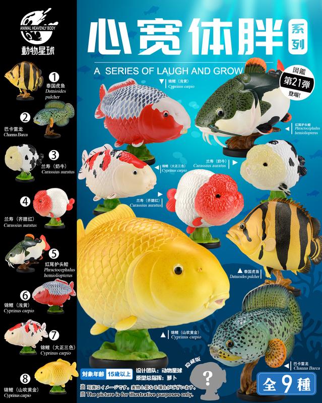 Animal Planet Heartwarming and Chubby 21St Edition Figure: Baccare Dragon Tiger Fish, Blue Koi, Mountain Breeze Goldfish Aquarium Model