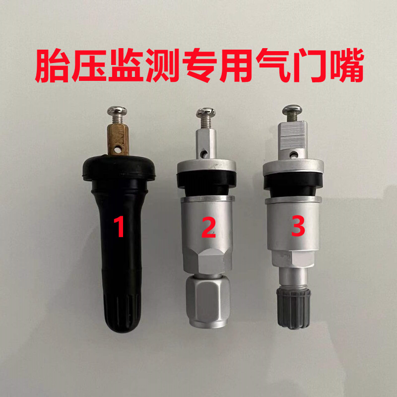 Suitable for Great Wall Gun Tank 300 Big Dog Car Tire Pressure Monitoring valve sensor Special valve valve core