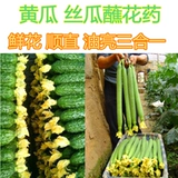 Огурец Loofah Duck Pill Pill Pill Plant Partner цветы цветы гладкие и осветляют огурцы, лафы, точка точки, чтобы получить бесплатную доставку