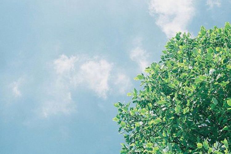 1 yuan hyperlink to make up the difference and postage, please contact customer service to take pictures