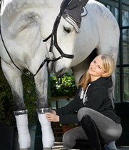 Rhinestone horse belt horse leggings horse leggings