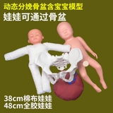 Школьный послеродовой корсет на тазовое кольцо для беременных, кукла