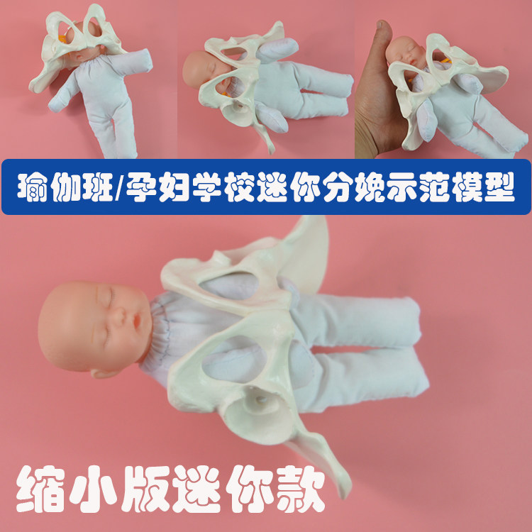 孕妇学校/产后瑜伽班孕妇迷你分娩示范助产骨盆模型含娃娃模型