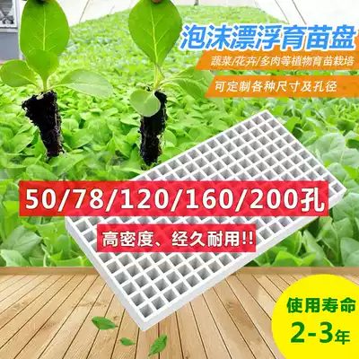 Seedling plate vegetable pepper floating seedling soilless cultivation foam nursery tray 50 78 120 160 200 hole