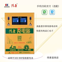Быстрое электрическое зарядное устройство с зарядкой, C10