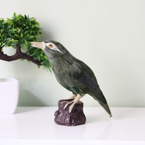 Simulation feather bird ornaments starling magpie Emerald thrush seagull cuckoo craft decorations fake bird props