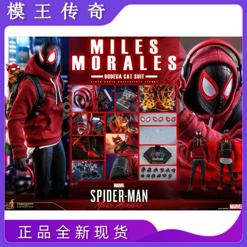 [Legend of Mo King] Hottoys1/6 VGM50 Spider -Man Melus Morales Cat Battle Edition