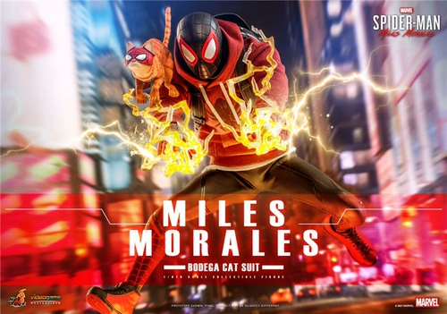 [Legend of Mo King] Hottoys1/6 VGM50 Spider -Man Melus Morales Cat Battle Edition