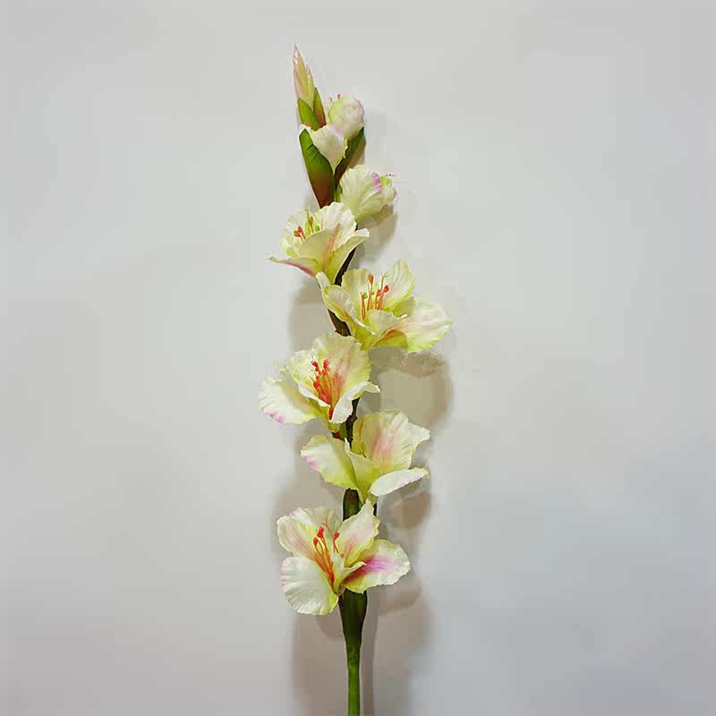 单枝,花束,玫瑰_大山谷图库
