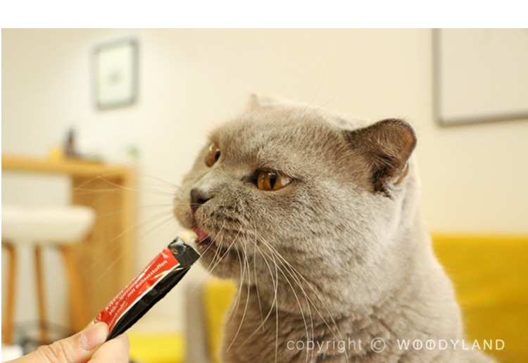 Woody | Đức Miamor Miami Ami Miami Kem mèo Dải / Mèo trẻ / Malt Hair Cat Snack hạt cho mèo