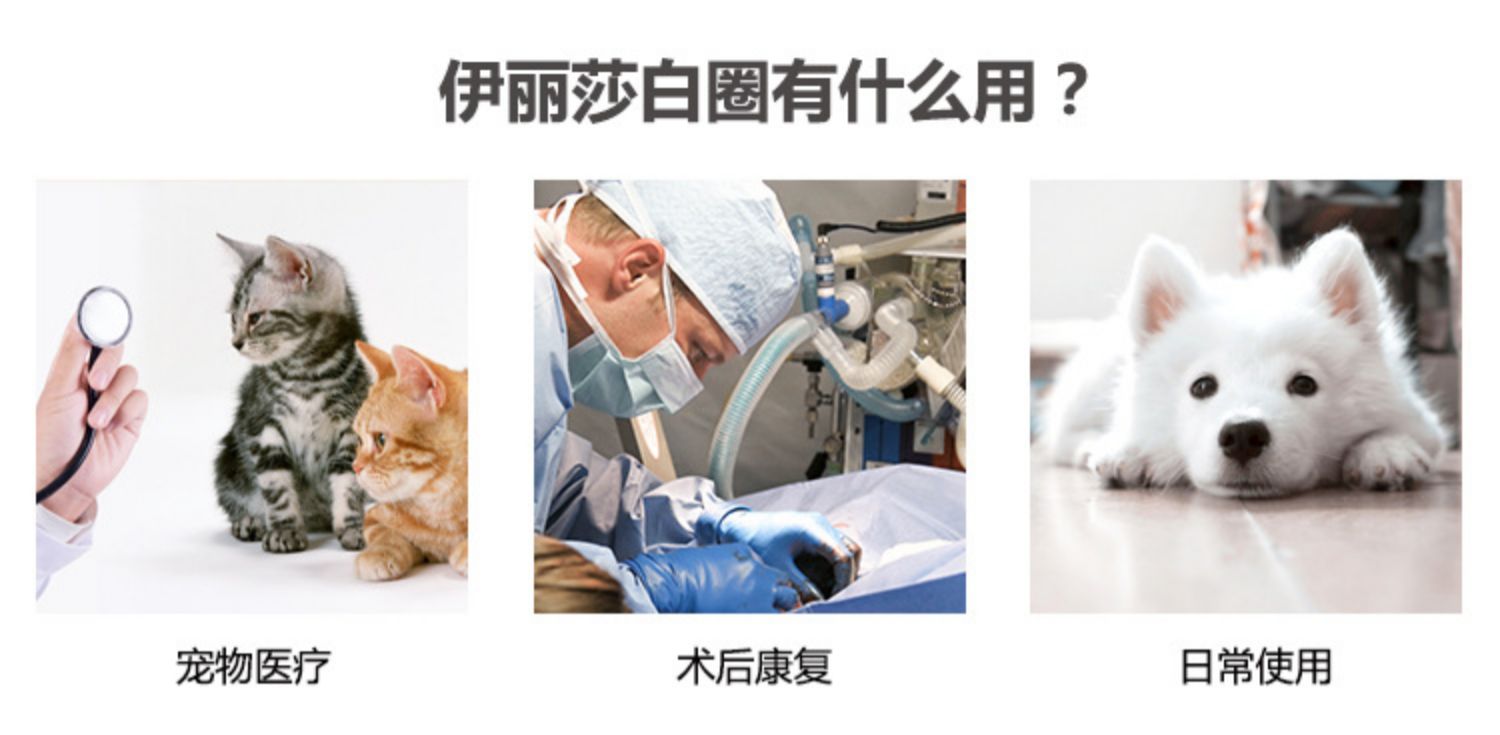 Không có mèo D | vòng tròn xấu hổ hoa hướng dương elizabeth vòng tròn mèo chó moth bảo vệ thú cưng vòng đầu mềm - Cat / Dog hàng ngày Neccessities Máng ăn cho chó con