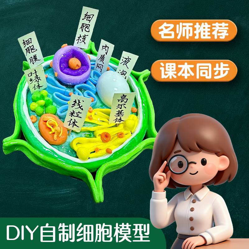 教学模型店