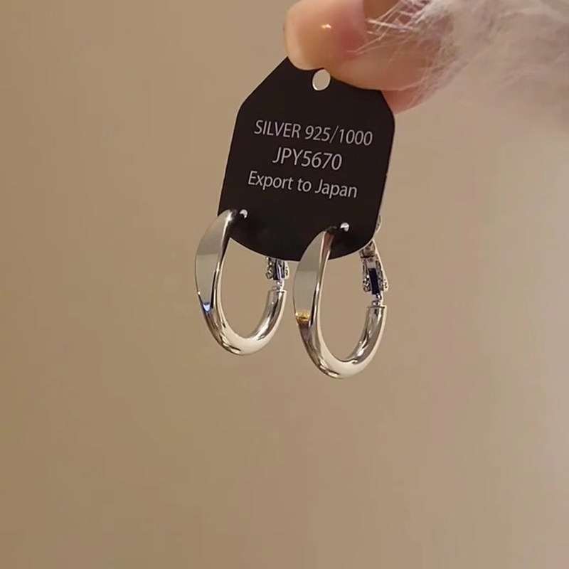 Minimalist Metallic Hoop Earrings 2025 New High-End Earrings Niche Unique Personality Temperament Earrings for Women