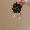 Minimalist Metallic Hoop Earrings 2025 New High-End Earrings Niche Unique Personality Temperament Earrings for Women