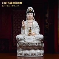 D23-101E 18-дюймовый платиновый CAI