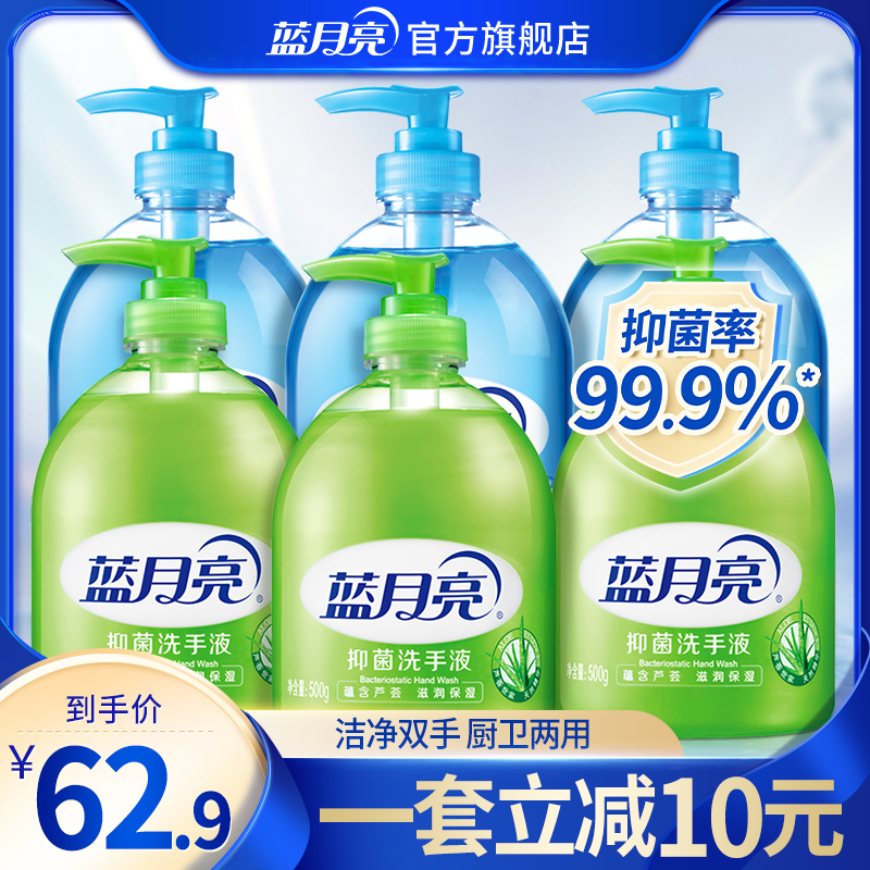 Blue Moon Hand Wash Liquid Home Suit Aloe Vera Nourishing Wild Chrysanthemum Refreshing Home Suit Flagship Store