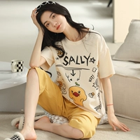 YZT96684