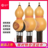 Профессиональные музыкальные инструменты для школьников для взрослых, подходит для начинающих, защита при падении