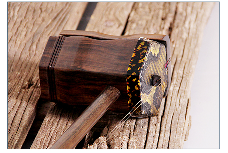 Erhu 750_17.jpg