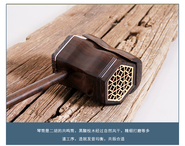 Erhu 750_08.jpg