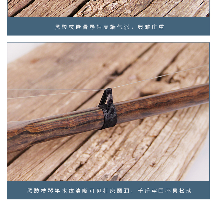 Erhu 750_07.jpg