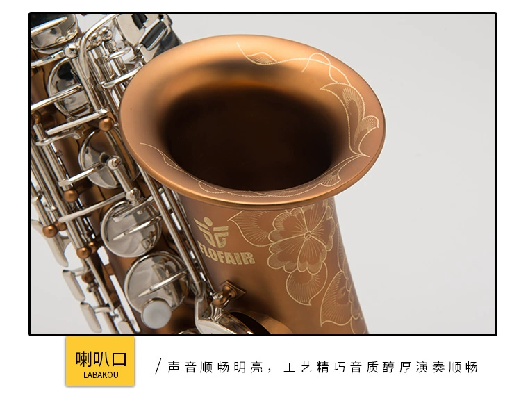 Nhạc cụ phương Tây màu nâu mờ nút mạ niken alto saxophone Kiểm tra hiệu suất E-dành cho người lớn FAS-861