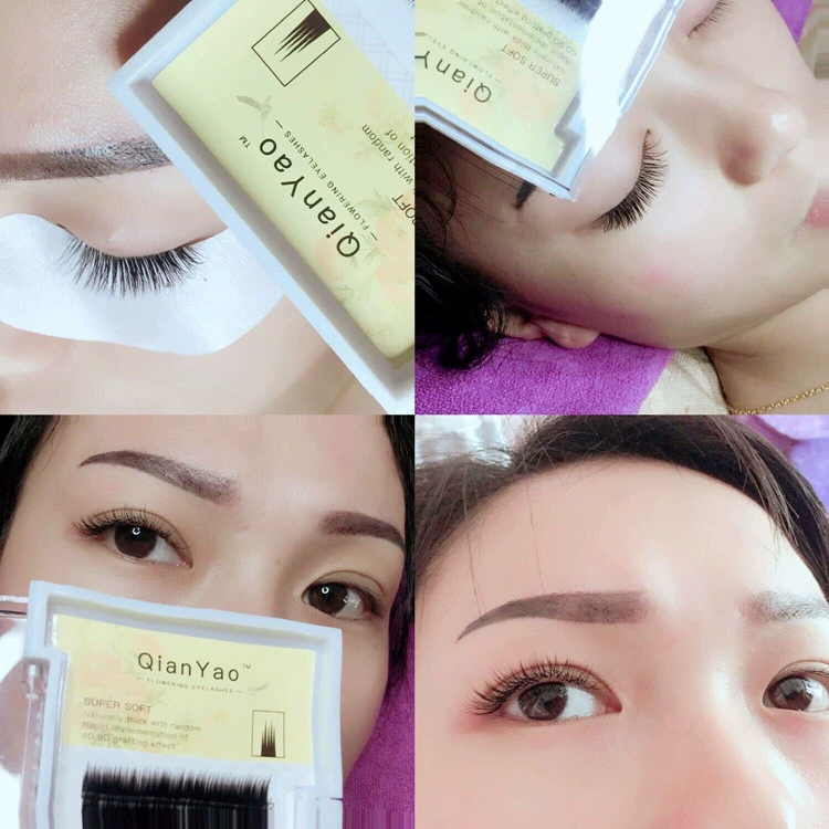 Ghép lông mi giả 0,05 Camellia Siêu mềm tự nhiên dày nhung nước 3D Trồng hoa giả lông mắt