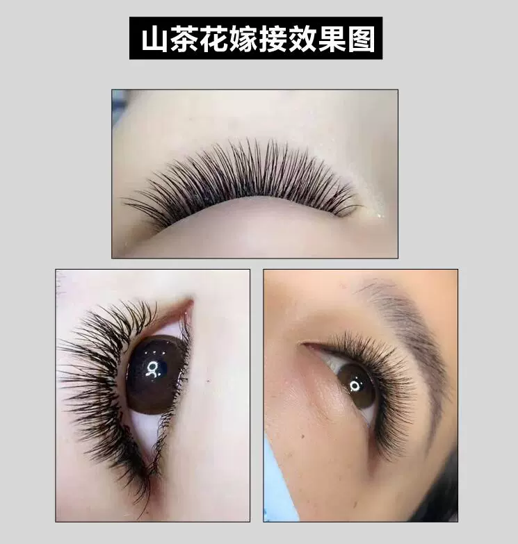 Ghép lông mi giả 0,05 Camellia Siêu mềm tự nhiên dày nhung nước 3D Trồng hoa giả lông mắt