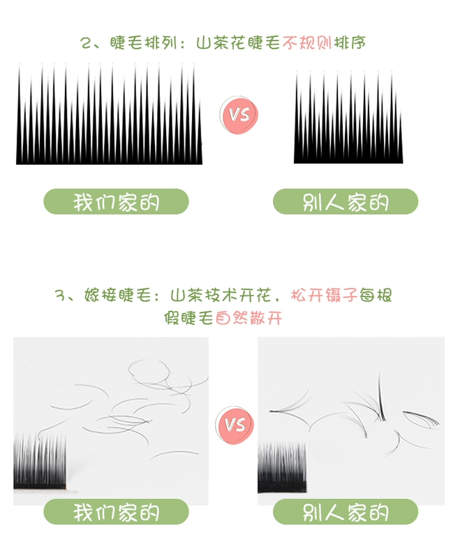 Ghép lông mi giả 0,05 Camellia Siêu mềm tự nhiên dày nhung nước 3D Trồng hoa giả lông mắt