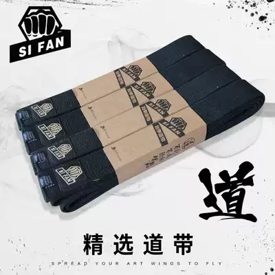 Taekwondo with coach with black belt embroidered adult