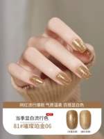 Sky Blue Meiyue 88 Color 81# Осветляющий янтарь 06