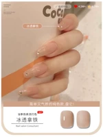 【Лэтт-латте】】 Рекомендуется Сяхонгу