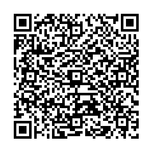 Slip jeunesse en coton - Ref 641679 Image 8