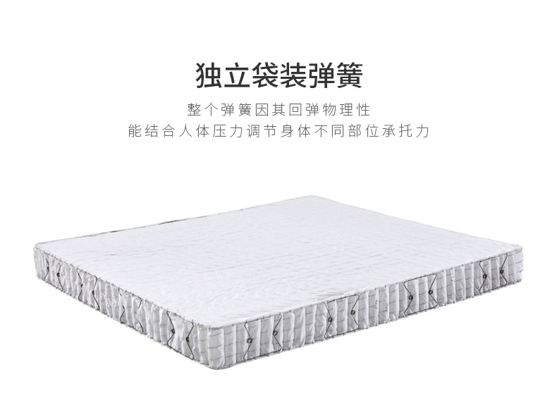 Bo màn giải trí mủ Simmons 1,5 m 1,8 m đôi nệm túi bung nệm 505 gói dịch vụ hậu cần - Nệm nệm giá kho