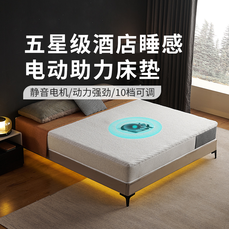 Earl Mansion Electric Mattress Vibrating Couple's Massage Smart Device for Bed and Breakfast, Fully Automatic Sexual Assistance Pad
