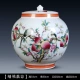 Jingdezhen gốm sứ trang trí lọ trăm hình ảnh lưu trữ bể trang trí phòng khách nhà phong thủy quà tặng thủ công