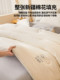 Xinjiang Cotton Quilt Core Pure Cotton Summer Quilt Air Conditioning Quilt Spring and Autumn Single Student Dormitory Winter Quilt Thickened