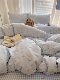 Four-Piece Set Pure Cotton 100% Cotton 2026 New Bedding Set Bed Sheet Duvet Cover Student Dormitory Three-Piece Set 4