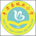 bopos brand School uniform Pingtan Chengbei Primary School summer sportswear