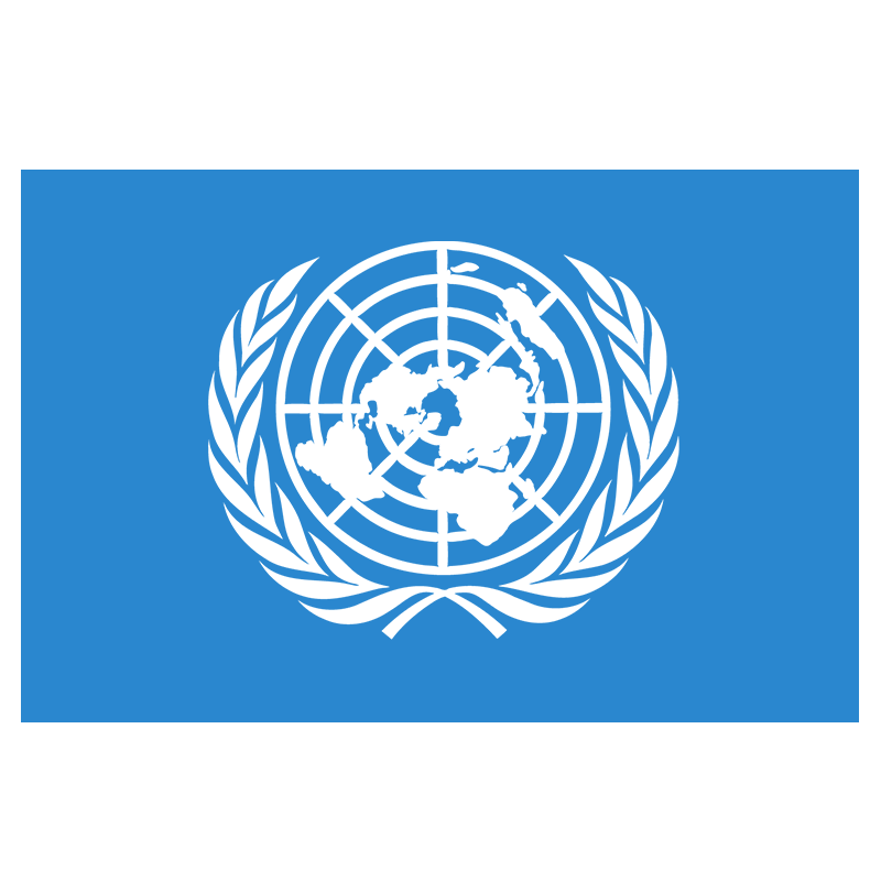 3号联合国国旗万国旗外国国旗世界各国国旗旗帜定制