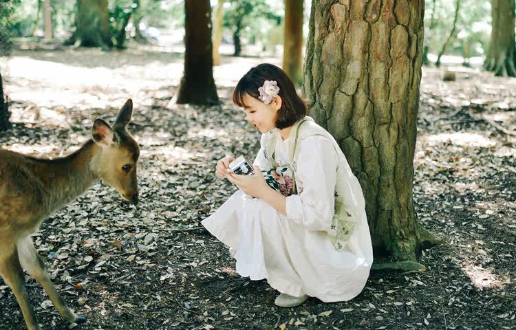 Accessoire cheveux - Ref 1202806 Image 7